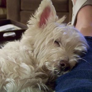 Meet your Posher, Gayle